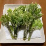 レス5番の画像1