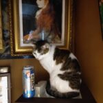 レス47番の画像1