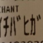 レス42番の画像1