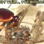 レス1番の画像8