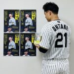 レス2番のリンク先のサムネイル画像