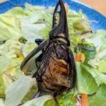 レス4番の画像1