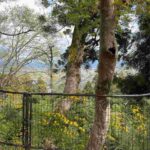 レス5番の画像1