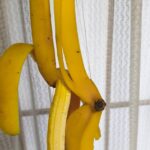 レス2番の画像1