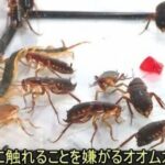 レス1番の画像5