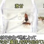 レス1番の画像12