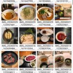 レス22番の画像1