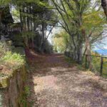 レス5番の画像2