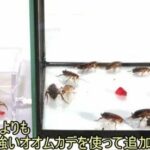 レス1番の画像4