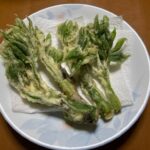 レス19番の画像1