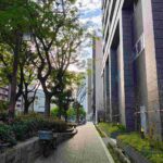 レス3番の画像3