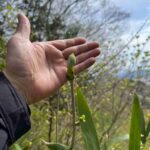 レス6番の画像3