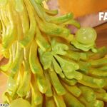 レス11番の画像2