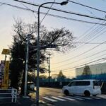 レス22番の画像1