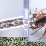 レス1番の画像3