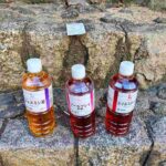 レス3番の画像12