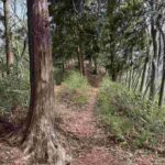 レス6番の画像2