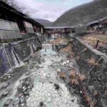 レス12番の画像1