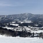 レス28番の画像1