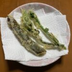 レス32番の画像1