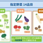 レス8番の画像1