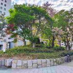 レス3番の画像2